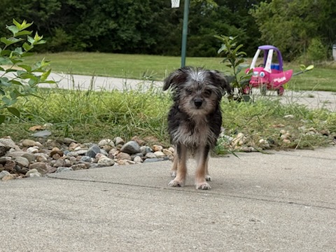 Milky Way available for adoption