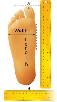 Foot Size Conversion